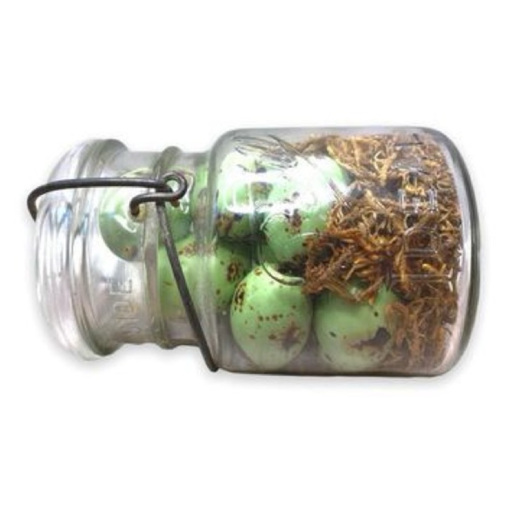 Ball Ideal Glass Mason Jar, Easter decor, Easter, spring, spring decor, mason ja